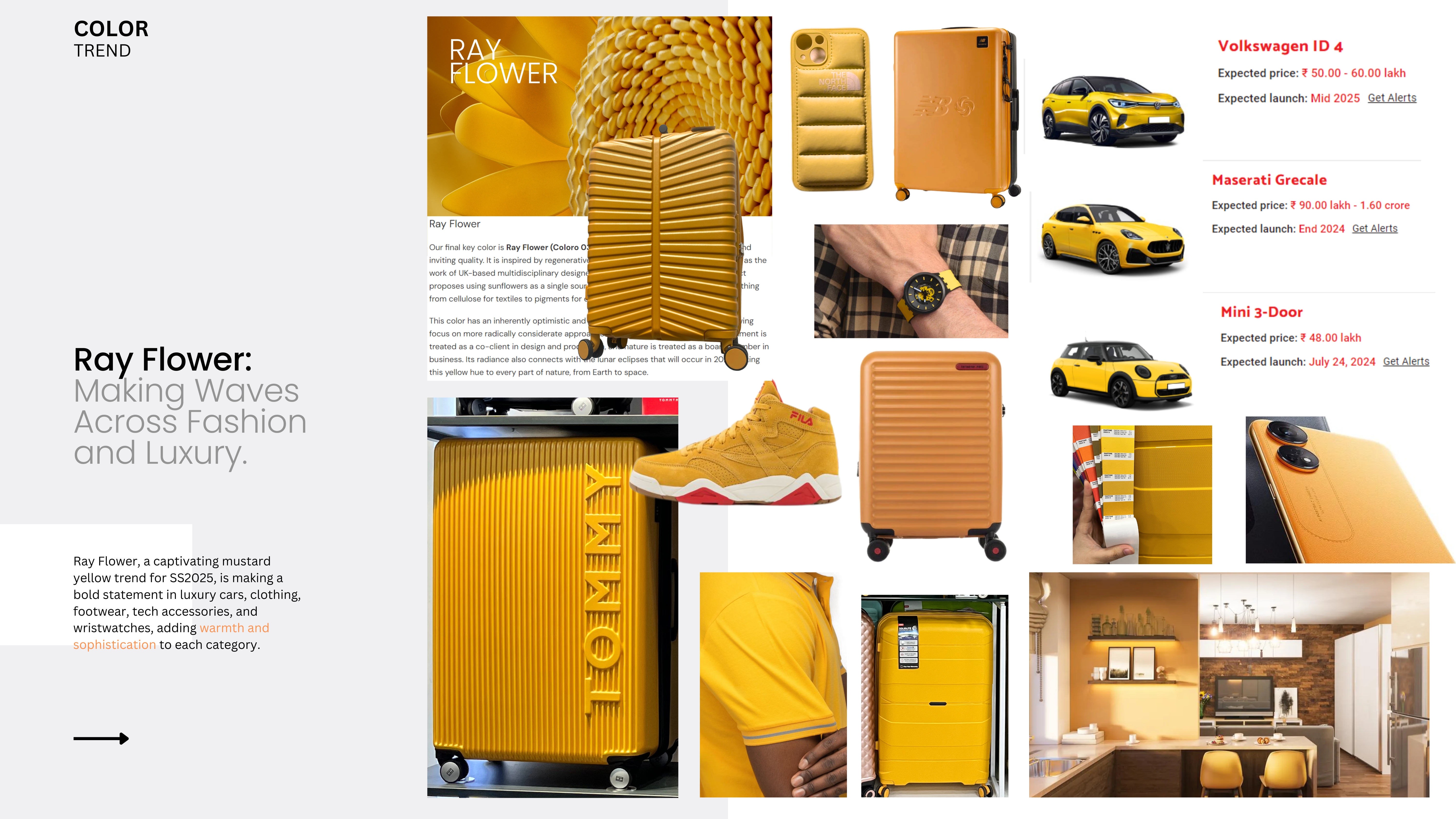 Ray Flower colour trend board